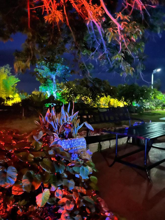 La Plumerias موالبوال المظهر الخارجي الصورة