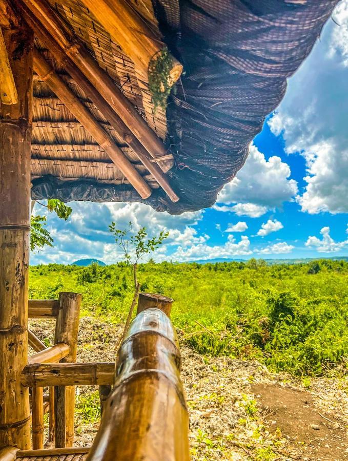 La Plumerias موالبوال المظهر الخارجي الصورة