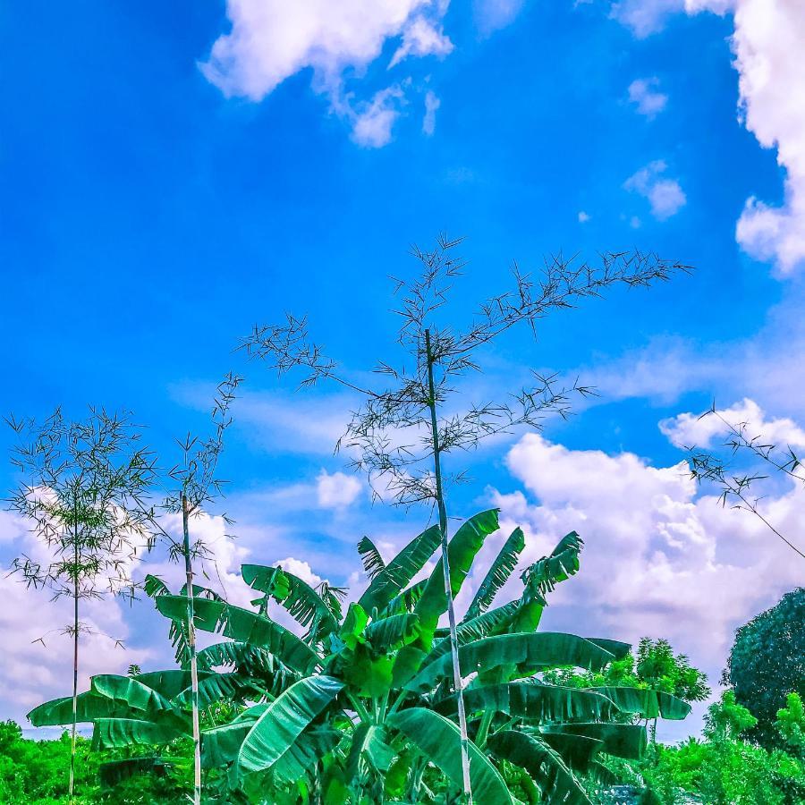 La Plumerias موالبوال المظهر الخارجي الصورة