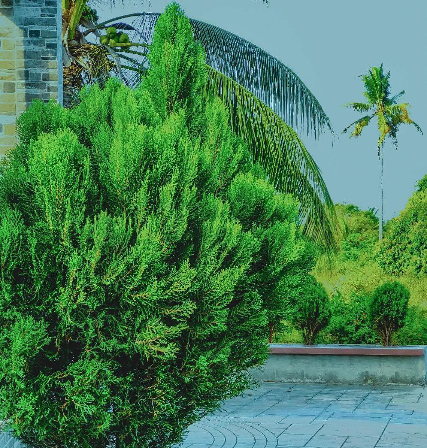 La Plumerias موالبوال المظهر الخارجي الصورة
